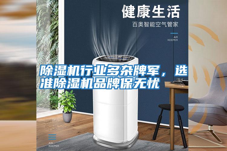 除濕機(jī)行業(yè)多雜牌軍,選準(zhǔn)除濕機(jī)品牌保無(wú)憂(yōu)