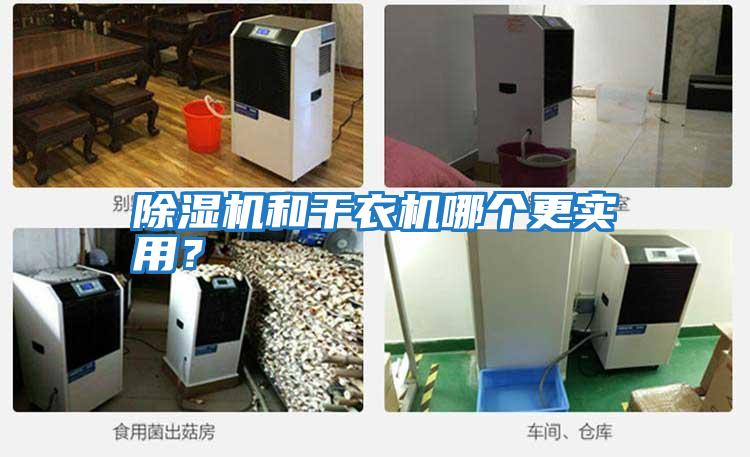 除濕機(jī)和干衣機(jī)哪個(gè)更實(shí)用?