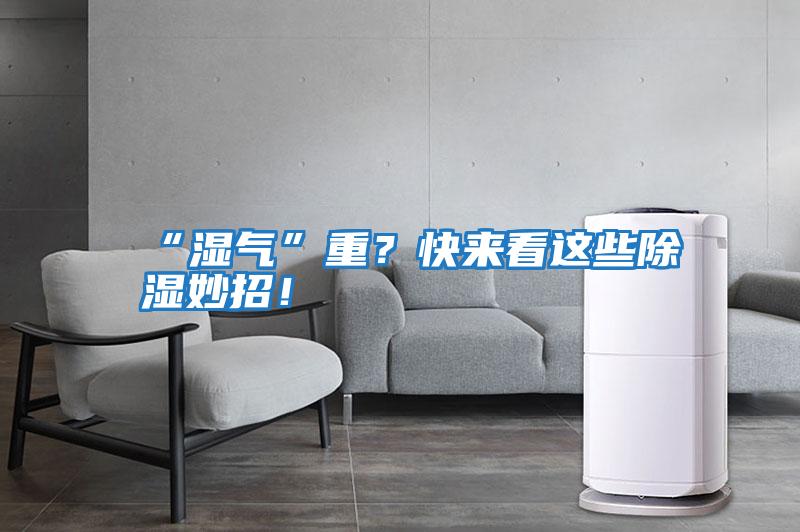 “濕氣”重？快來看這些除濕妙招！