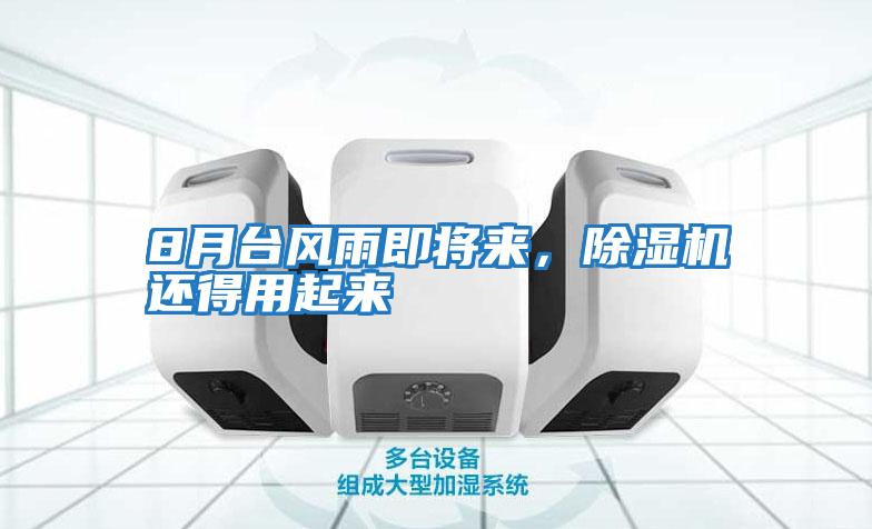 8月臺風雨即將來，除濕機還得用起來