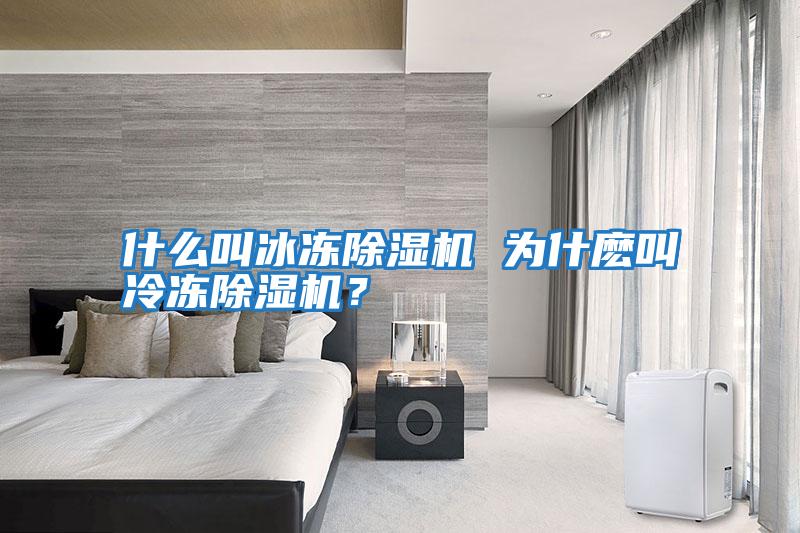 什么叫冰凍除濕機(jī) 為什麼叫冷凍除濕機(jī)?