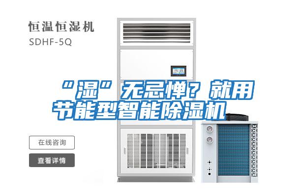 “濕”無忌憚？就用節能型智能除濕機