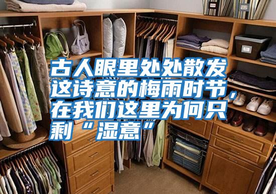 古人眼里處處散發(fā)這詩意的梅雨時節(jié),在我們這里為何只剩“濕意”