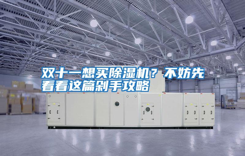 雙十一想買(mǎi)除濕機(jī)？不妨先看看這篇剁手攻略