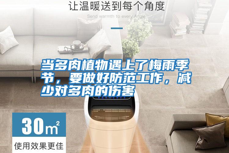 當多肉植物遇上了梅雨季節，要做好防范工作，減少對多肉的傷害