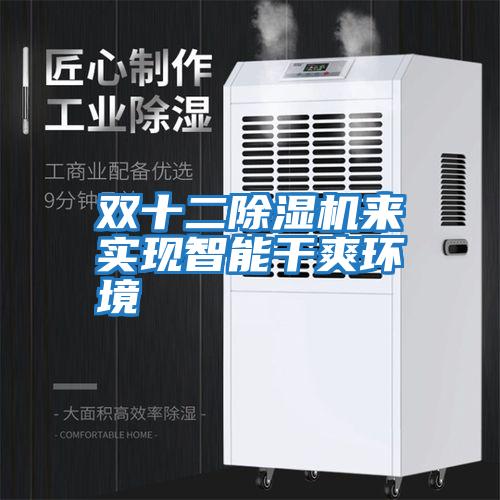 雙十二除濕機來實現智能干爽環境