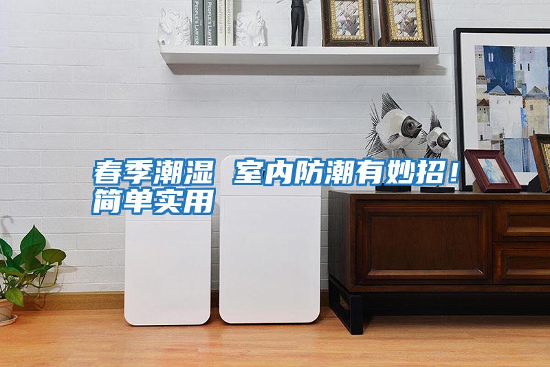 春季潮濕 室內防潮有妙招！簡單實用