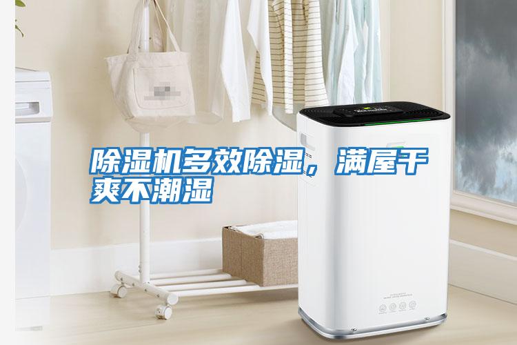 除濕機多效除濕,滿屋干爽不潮濕