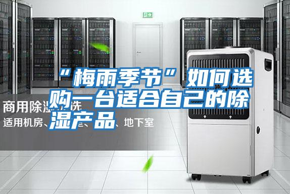 “梅雨季節”如何選購一臺適合自己的除濕產品