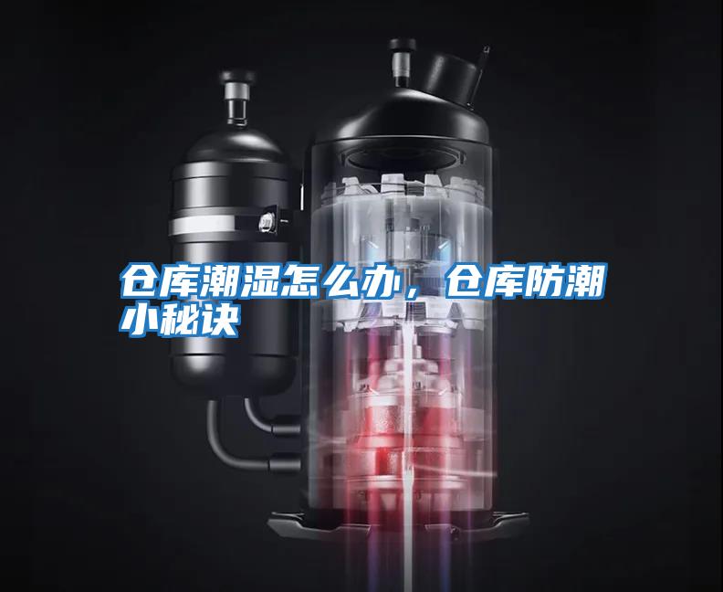 倉庫潮濕怎么辦，倉庫防潮小秘訣
