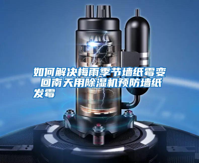 如何解決梅雨季節墻紙霉變 回南天用除濕機預防墻紙發霉