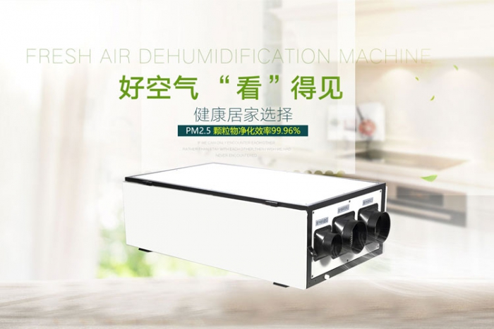 下雨天潮氣逼人，除濕機一掃而盡