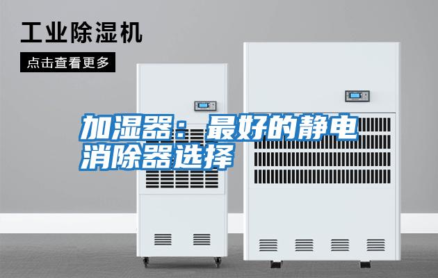 加濕器:最好的靜電消除器選擇