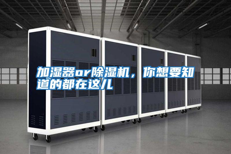 加濕器or除濕機(jī),你想要知道的都在這兒
