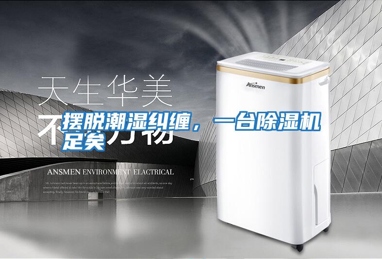 擺脫潮濕糾纏，一臺除濕機足矣