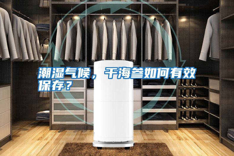 潮濕氣候,干海參如何有效保存?