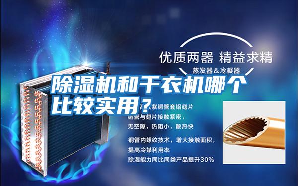 除濕機和干衣機哪個比較實用？