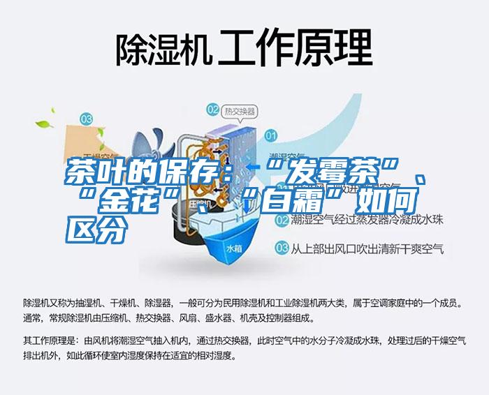 茶葉的保存：“發霉茶”、“金花”、“白霜”如何區分