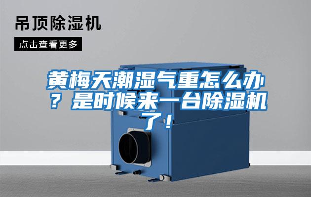 黃梅天潮濕氣重怎么辦？是時(shí)候來(lái)一臺(tái)除濕機(jī)了！