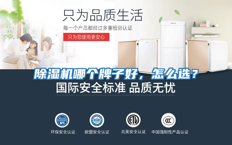 除濕機(jī)哪個(gè)牌子好，怎么選？