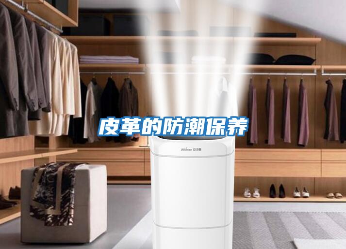 皮革的防潮保養