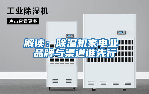 解讀:除濕機家電業(yè) 品牌與渠道誰先行