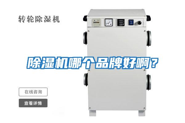 除濕機哪個品牌好啊？