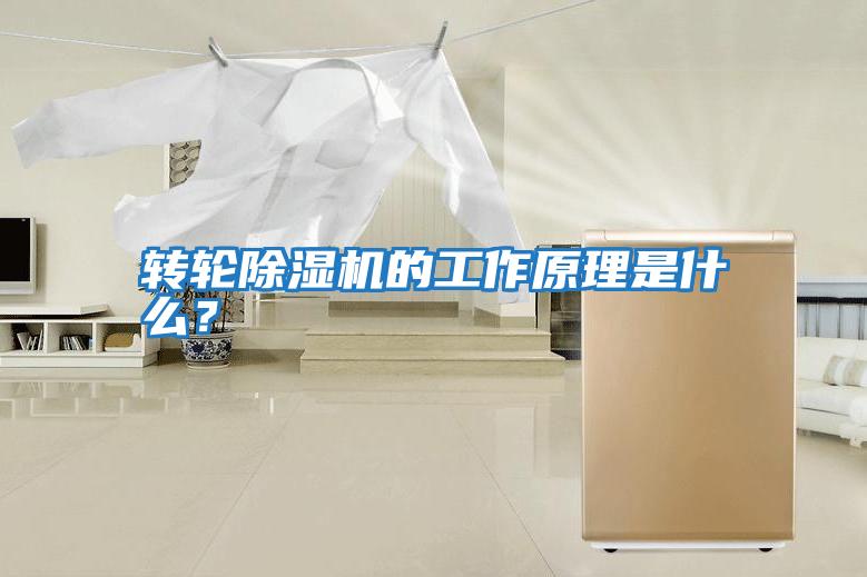 轉(zhuǎn)輪除濕機的工作原理是什么?