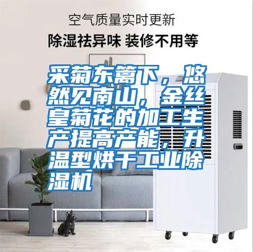 采菊東籬下，悠然見南山，金絲皇菊花的加工生產(chǎn)提高產(chǎn)能，升溫型烘干工業(yè)除濕機(jī)