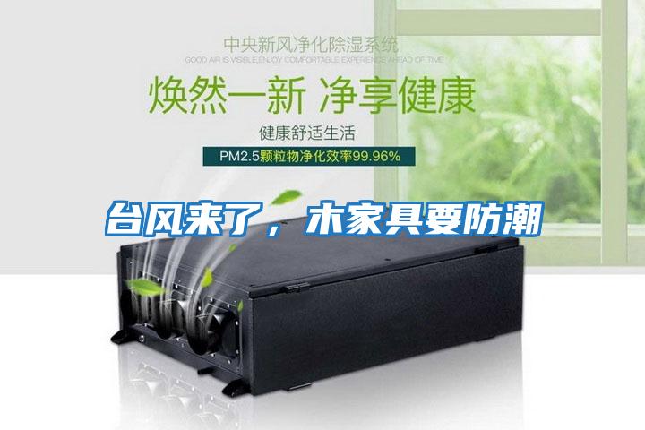 臺風來了，木家具要防潮