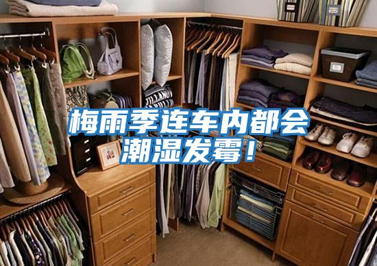 梅雨季連車內都會潮濕發(fā)霉！