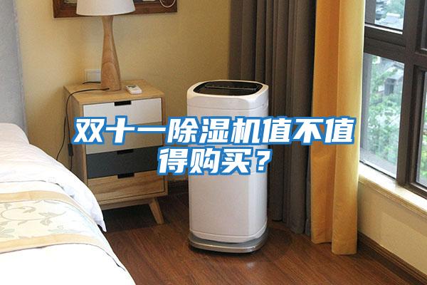 雙十一除濕機值不值得購買?