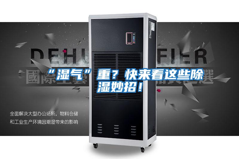 “濕氣”重？快來看這些除濕妙招！