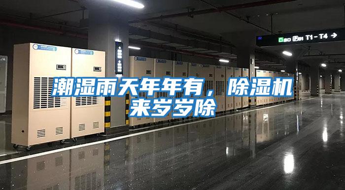 潮濕雨天年年有，除濕機(jī)來(lái)歲歲除
