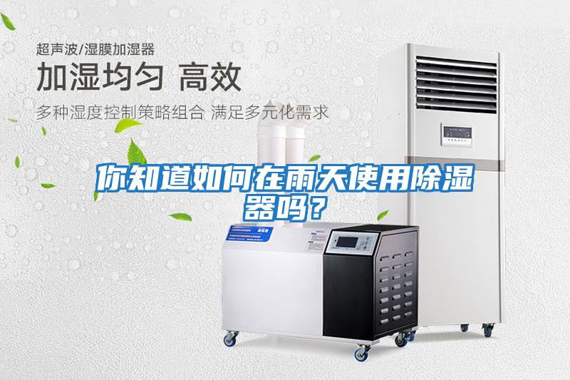 你知道如何在雨天使用除濕器嗎？