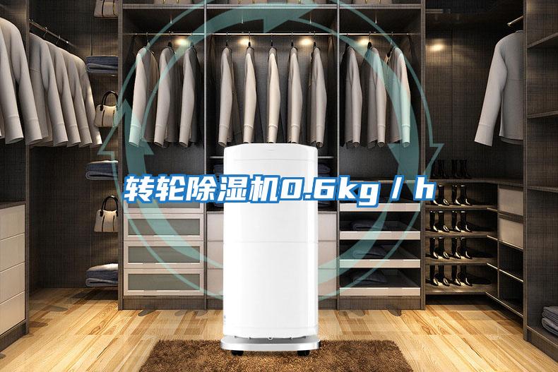 轉(zhuǎn)輪除濕機0.6kg/h