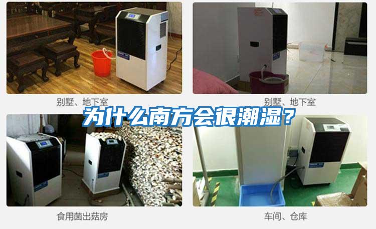 為什么南方會很潮濕?