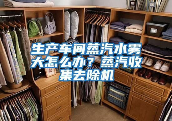 生產車間蒸汽水霧大怎么辦？蒸汽收集去除機