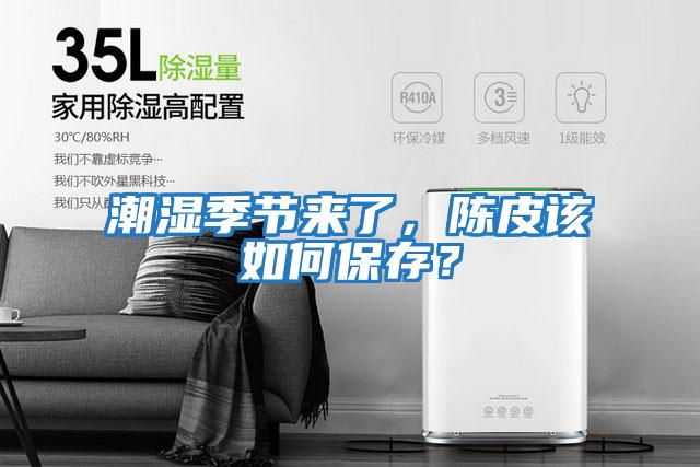 潮濕季節來了，陳皮該如何保存？