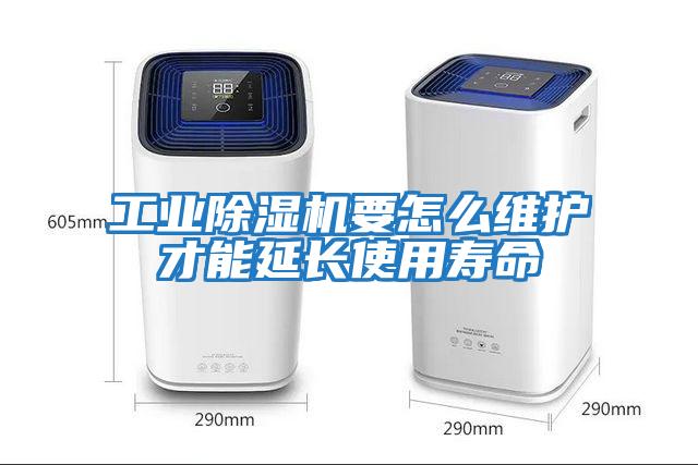 工業除濕機要怎么維護才能延長使用壽命