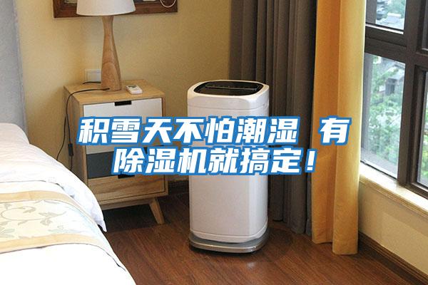 積雪天不怕潮濕 有除濕機(jī)就搞定！