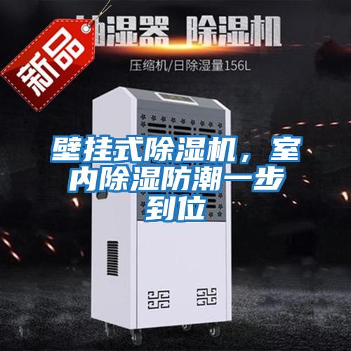 壁掛式除濕機，室內除濕防潮一步到位