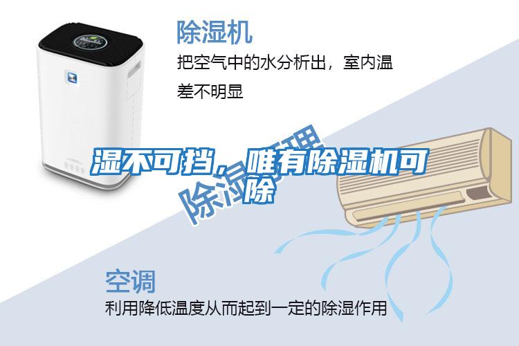 濕不可擋,唯有除濕機可除