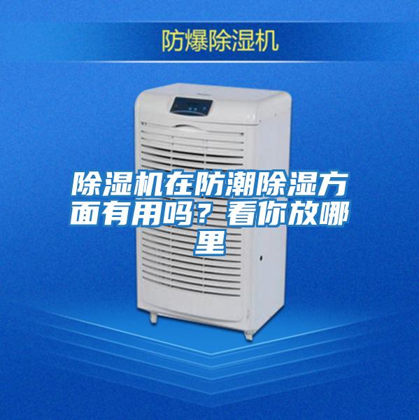 除濕機在防潮除濕方面有用嗎？看你放哪里