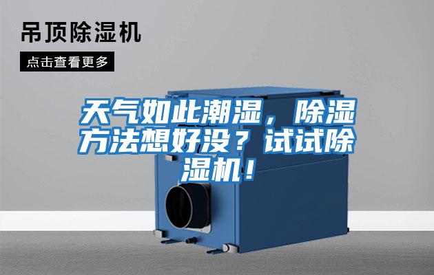 天氣如此潮濕，除濕方法想好沒？試試除濕機！
