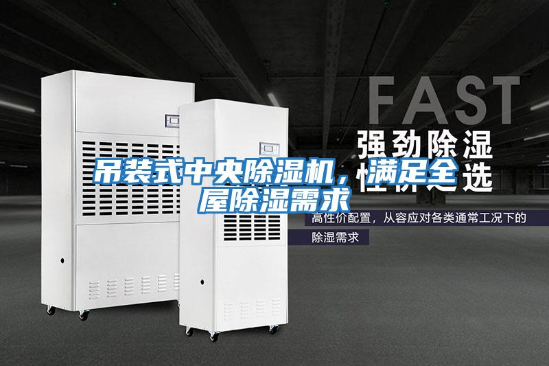 吊裝式中央除濕機(jī)，滿(mǎn)足全屋除濕需求