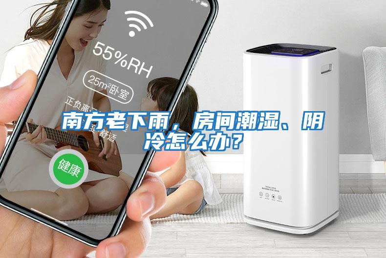 南方老下雨，房間潮濕、陰冷怎么辦？