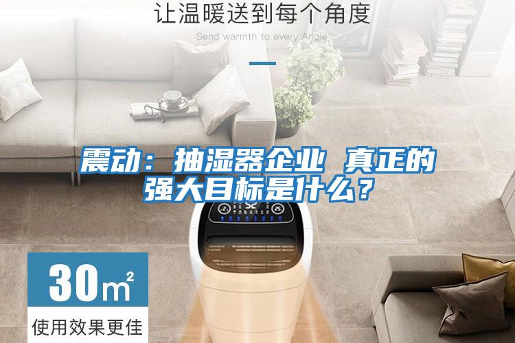 震動：抽濕器企業 真正的強大目標是什么？