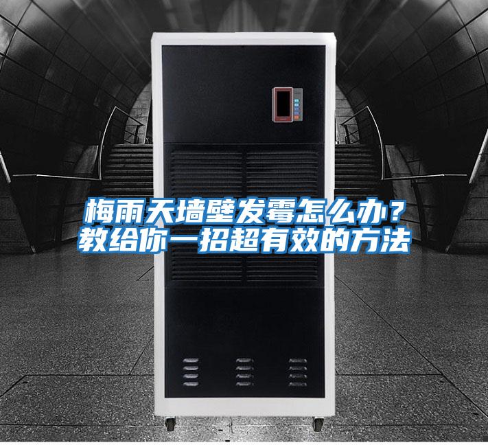 梅雨天墻壁發霉怎么辦?教給你一招超有效的方法