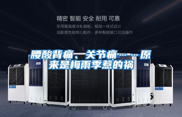 腰酸背痛、關(guān)節(jié)痛……原來是梅雨季惹的禍